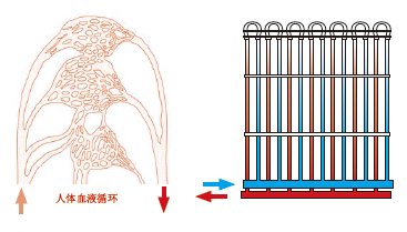 毛細管網(wǎng)輻射采暖系統(tǒng)簡介